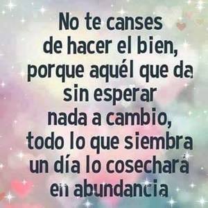 Meet your Posher, Deisy